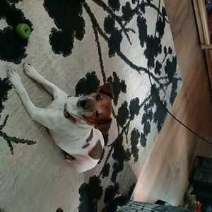 Meet your Posher, Teresa